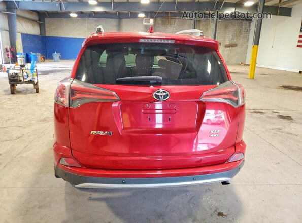 2T3RFREV9GW533467 2016 TOYOTA RAV4 Красный Вид сзади