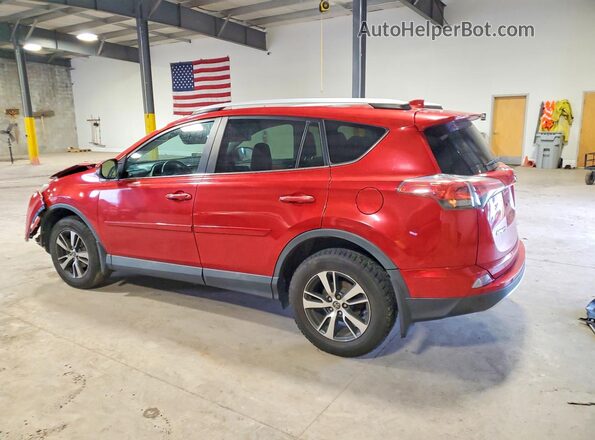 2T3RFREV9GW533467 2016 TOYOTA RAV4 Красный Задняя левая четверть