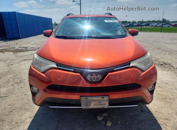 2T3RFREVXGW534238 2016 TOYOTA RAV4 Orange Вид задніх сидінь