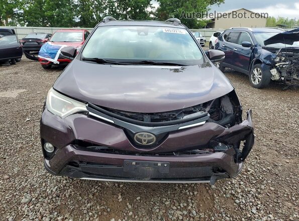 2T3RFREVXHW559769 2017 TOYOTA RAV4 Burgundy Front view