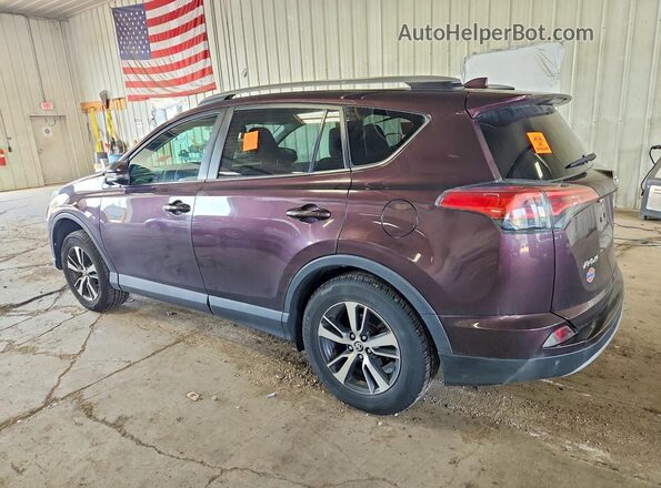 2T3RFREVXHW688952 2017 TOYOTA RAV4 Purple Հետևի ձախ