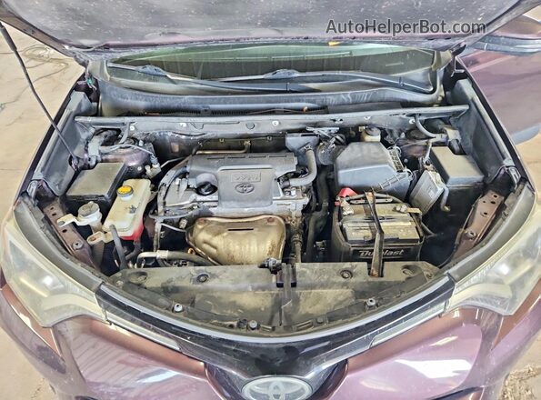 2T3RFREVXHW688952 2017 TOYOTA RAV4 Purple Սալոնի հետևի տեսք