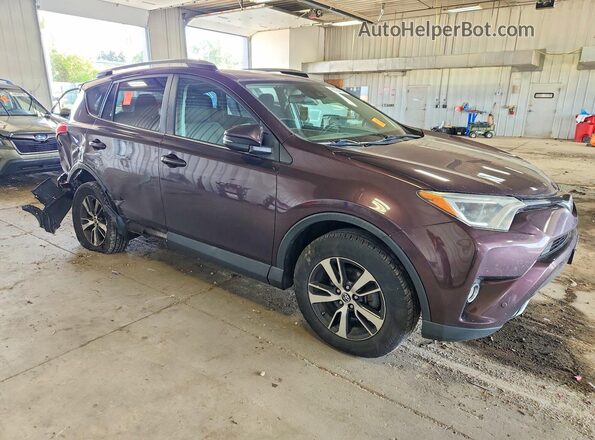 2T3RFREVXHW688952 2017 TOYOTA RAV4 Purple Առջևի աջ