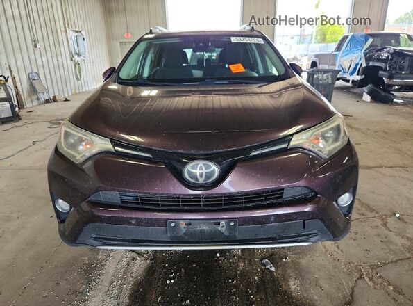 2T3RFREVXHW688952 2017 TOYOTA RAV4 Purple Դիմացի տեսք