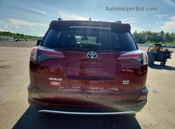 2T3RFREVXJW816533 2018 TOYOTA RAV4 Red Հետևի տեսք