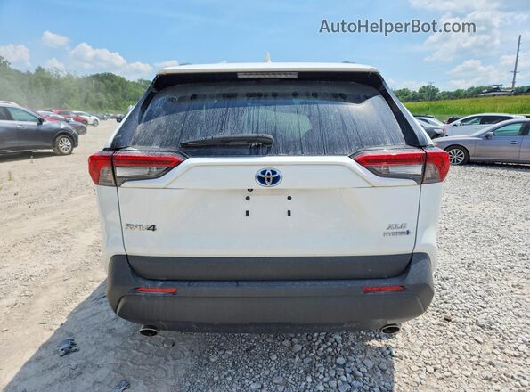 2T3RWRFV0RW219045 2024 TOYOTA RAV4 White Rear view