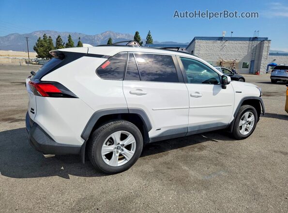 2T3RWRFV1LW060432 2020 TOYOTA RAV4 White უკანა მარჯვენა