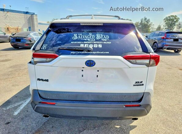 2T3RWRFV1LW060432 2020 TOYOTA RAV4 White უკანა ხედი