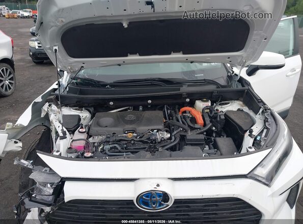 2T3RWRFV1RW248005 2024 TOYOTA RAV4 HYBRID Белый Вид сзади