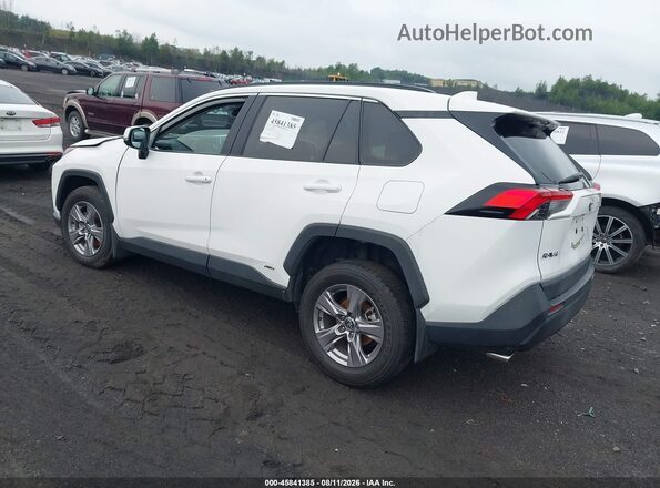 2T3RWRFV1RW248005 2024 TOYOTA RAV4 HYBRID Белый Задняя левая четверть