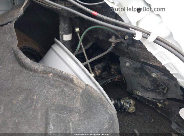 2T3RWRFV1RW248005 2024 TOYOTA RAV4 HYBRID Белый 