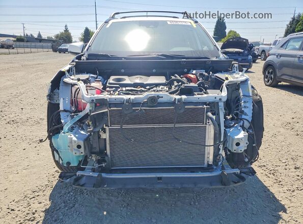2T3RWRFV5KW013080 2019 TOYOTA RAV4 White Vista frontal
