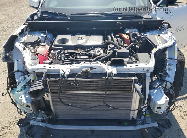 2T3RWRFV5KW013080 2019 TOYOTA RAV4 White Vista del compartimento del motor