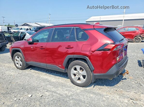 2T3RWRFV6MW103454 2021 TOYOTA RAV4 Red Trasero izquierdo