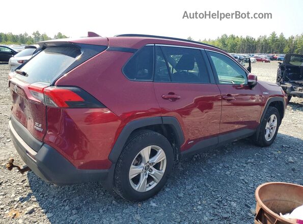2T3RWRFV6MW103454 2021 TOYOTA RAV4 Red Trasero derecho