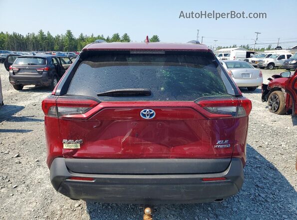 2T3RWRFV6MW103454 2021 TOYOTA RAV4 Red Vista trasera