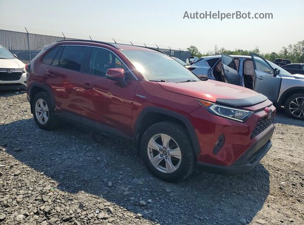 2T3RWRFV6MW103454 2021 TOYOTA RAV4 Red Delantero derecho