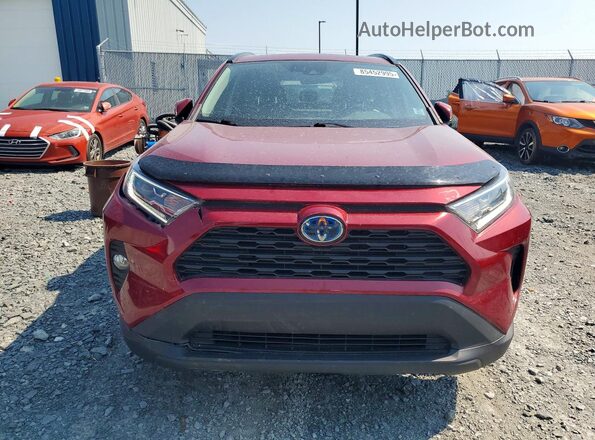 2T3RWRFV6MW103454 2021 TOYOTA RAV4 Red Vista frontal