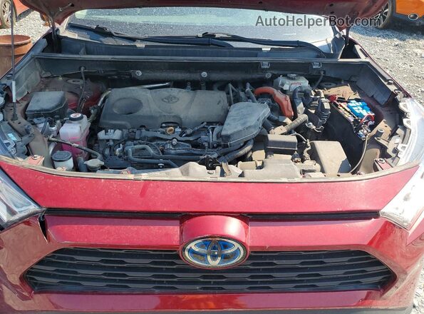 2T3RWRFV6MW103454 2021 TOYOTA RAV4 Red Vista del compartimento del motor