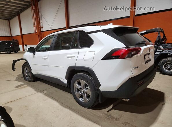 2T3RWRFV6RW199982 2024 TOYOTA RAV4 White Tył lewy