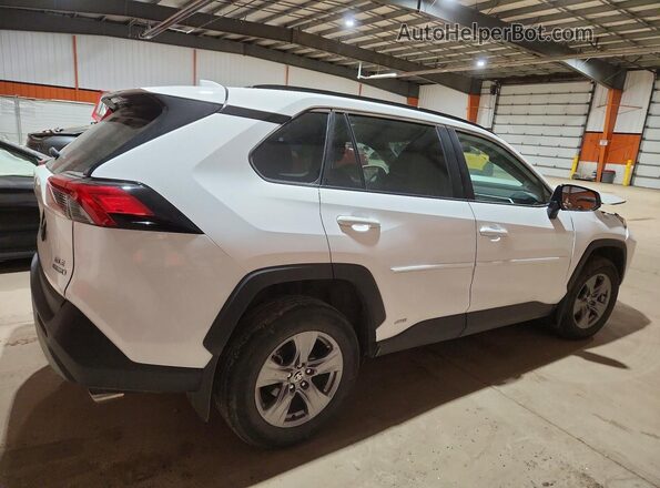 2T3RWRFV6RW199982 2024 TOYOTA RAV4 White Tył prawy