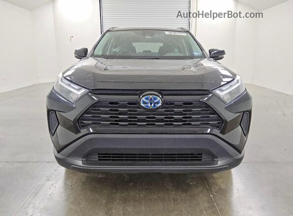 2T3RWRFV6RW211371 2024 TOYOTA RAV4 Black Vista frontal