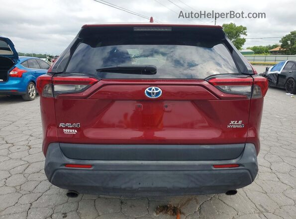 2T3RWRFV8KW021884 2019 TOYOTA RAV4 Red Вид ззаду