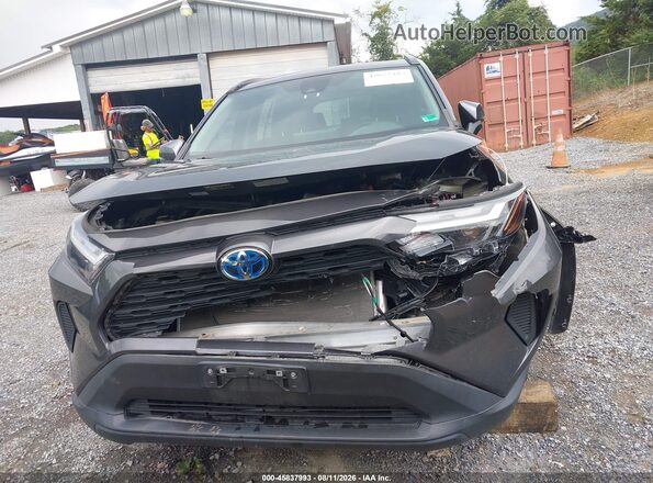 2T3RWRFV9RW194498 2024 TOYOTA RAV4 HYBRID Gray Սալոնի հետևի տեսք