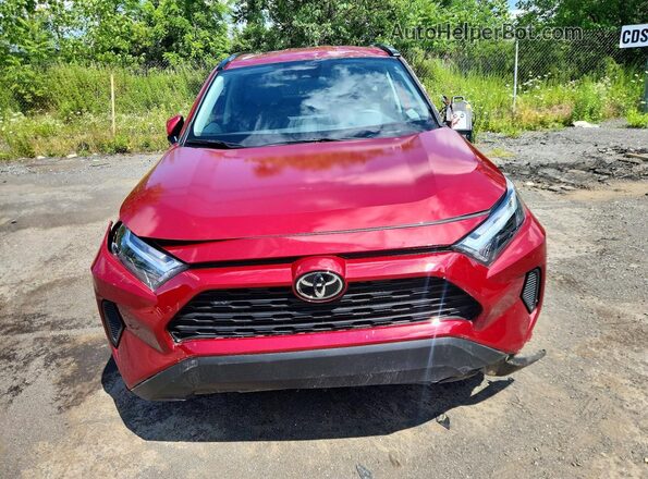2T3RWRFV9SW294896 2025 TOYOTA RAV4 Maroon Front view