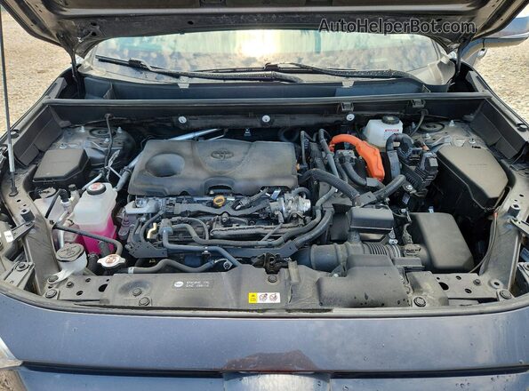 2T3T6RFV9RW065540 2024 TOYOTA RAV4 Charcoal Սալոնի հետևի տեսք