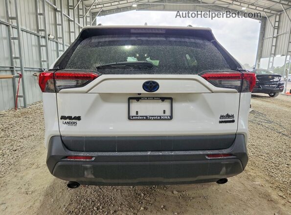 2T3UWRFV1PW151605 2023 TOYOTA RAV4 White Rear view