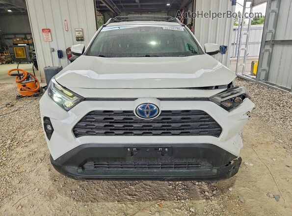 2T3UWRFV1PW151605 2023 TOYOTA RAV4 White Front view