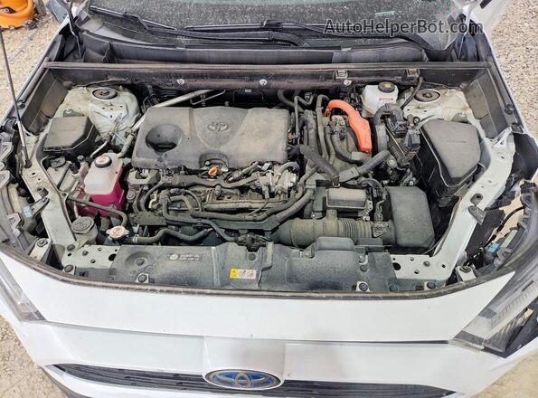 2T3UWRFV1PW151605 2023 TOYOTA RAV4 White Engine compartment view
