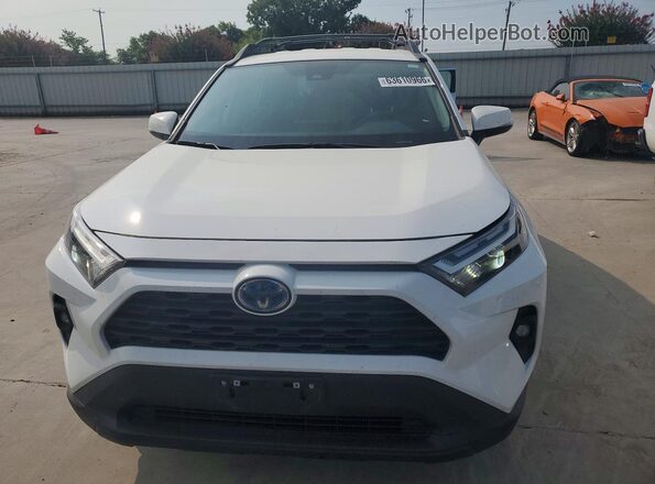 2T3UWRFV6PW154869 2023 TOYOTA RAV4 White Vista frontal