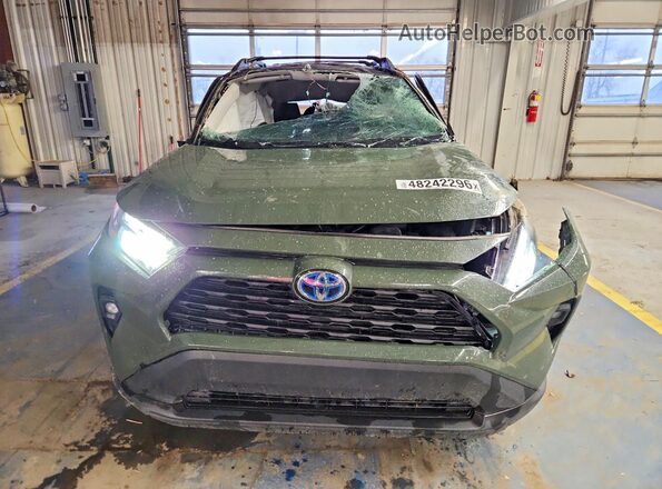 2T3UWRFV8RW187441 2024 TOYOTA RAV4 Зеленый Вид спереди