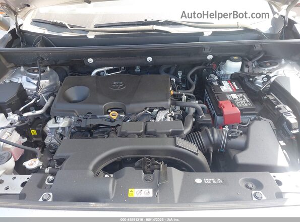 2T3W1RFV0MC112038 2021 TOYOTA RAV4 Silver Widok z tyłu