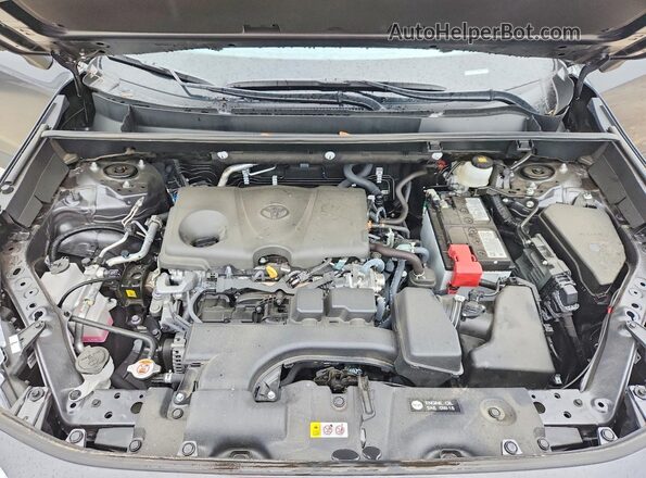 2T3W1RFV1SW411372 2025 TOYOTA RAV4 Gray Widok wnętrza z tyłu