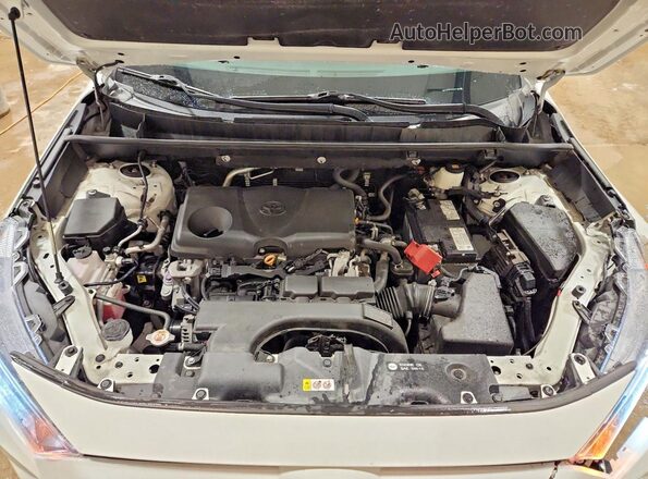 2T3W1RFV2LC057560 2020 TOYOTA RAV4 White Սալոնի հետևի տեսք