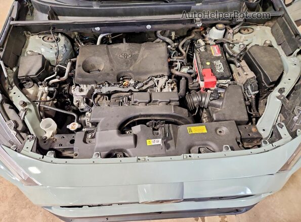 2T3W1RFV2LW092520 2020 TOYOTA RAV4 Gray Սալոնի հետևի տեսք
