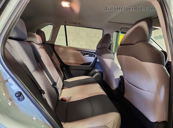 2T3W1RFV2LW092520 2020 TOYOTA RAV4 Gray Հետևի նստատեղերի տեսք
