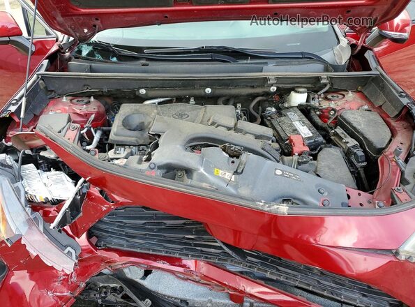 2T3W1RFV2MW164513 2021 TOYOTA RAV4 Burgundy Շարժիչի բաժամունքի տեսք