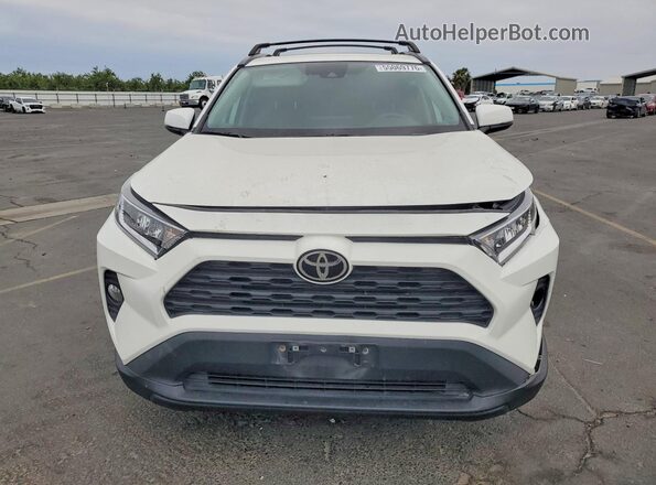 2T3W1RFV4MC169276 2021 TOYOTA RAV4 White Front view
