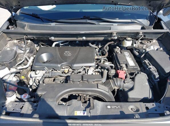 2T3W1RFV6LC045170 2020 TOYOTA RAV4 Gray Հետևի տեսք