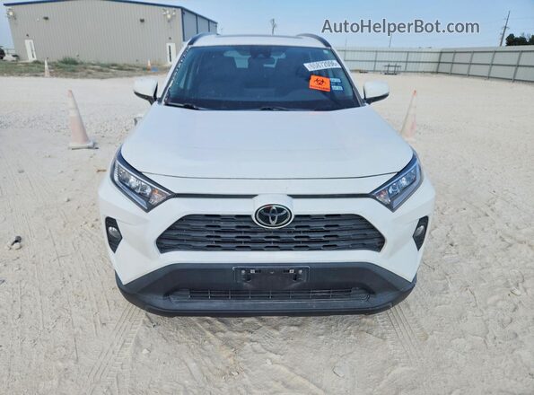 2T3W1RFV6MC121262 2021 TOYOTA RAV4 White Դիմացի տեսք