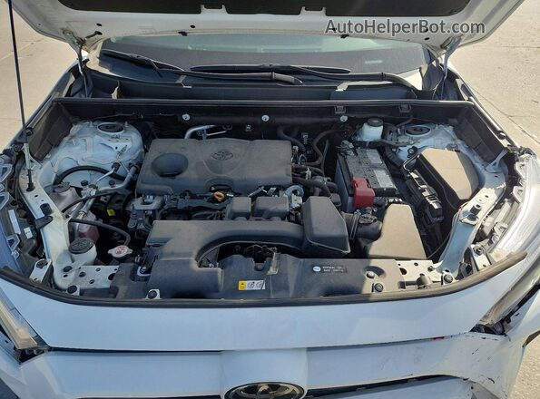 2T3W1RFV6PW251500 2023 TOYOTA RAV4 White Սալոնի հետևի տեսք