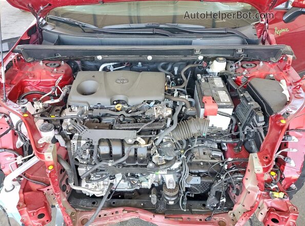2T3W1RFV6SW437143 2025 TOYOTA RAV4 Красный Вид задней части салона