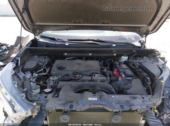 2T3W1RFV7MW121981 2021 TOYOTA RAV4 Gray უკანა ხედი