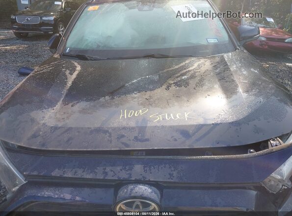 2T3W1RFV8KC023721 2019 TOYOTA RAV4 Blue Вид ззаду