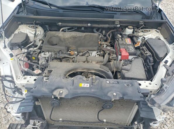 2T3W1RFV8LC053285 2020 TOYOTA RAV4 Белый Вид задней части салона