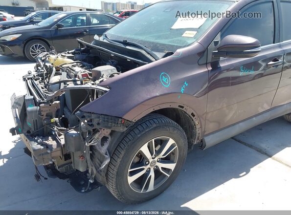 2T3WFREV0HW387657 2017 TOYOTA RAV4 Purple 